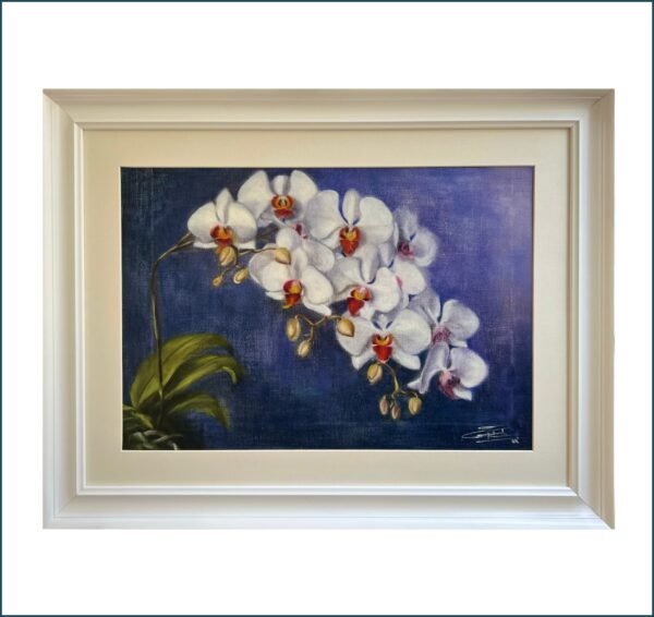 White Orchids