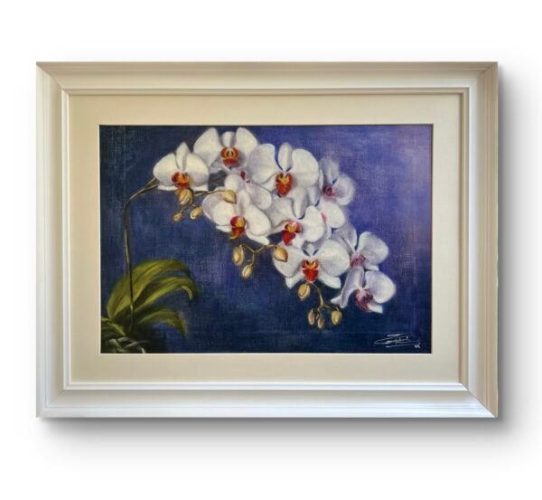White Orchids - Image 2